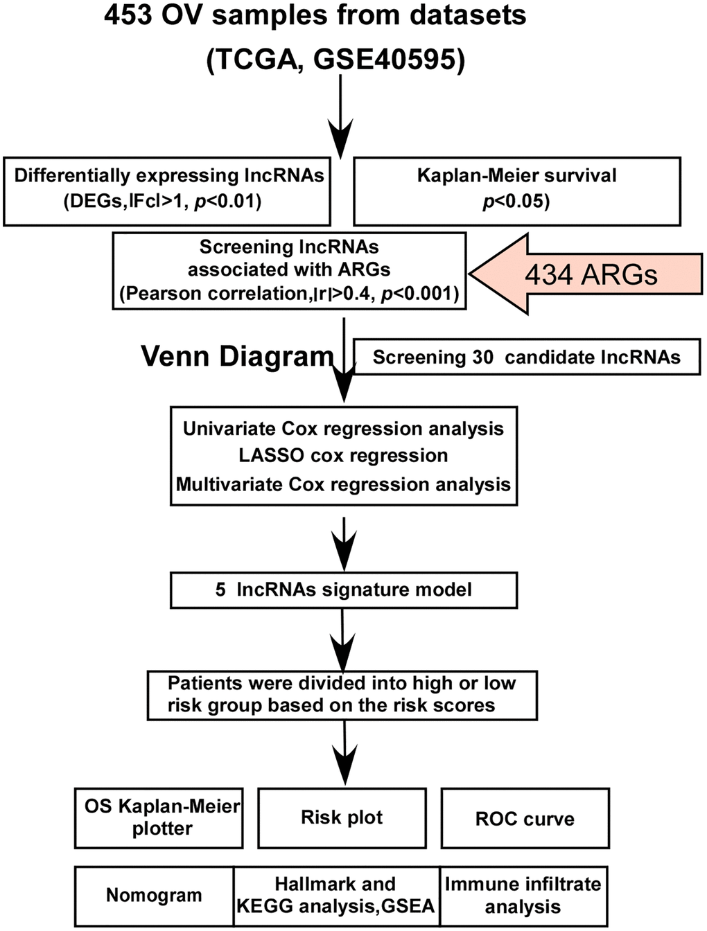 Flowchart of the study. Thirty candidate lncRNAs were identified through Venn diagram analysis of differentially expressed lncRNAs, Kaplan-Meier survival analysis, and lncRNAs associated with ARGs (anoikis-related genes). Subsequently, a novel cancer signature model consisting of five prognostic arlncRNAs was developed for ovarian cancer patients using univariate Cox regression, LASSO analysis, and multivariate Cox regression analysis. The five arlncRNAs signature model was established and the patients were divided into two risk groups based on the risk scores. The accuracy and potential function of this signature were assessed through various analyses, including OS (overall survival) Kaplan-Meier analysis, risk plot analysis, ROC (receiver operating characteristic) curve analysis, nomogram construction, hallmark analysis, KEGG (Kyoto Encyclopedia of Genes and Genomes) analysis, GSEA (gene set enrichment analysis), and immune infiltrate analysis. OV refers to ovarian cancer, TCGA refers to The Cancer Genome Atlas, lncRNAs stands for long noncoding RNAs, DEGs represents differentially expressed genes, ARGs denotes anoikis-related genes, LASSO refers to least absolute shrinkage and selection operator, OS refers to overall survival, ROC stands for receiver operating characteristic, KEGG refers to Kyoto Encyclopedia of Genes and Genomes, and GSEA represents gene set enrichment analysis.