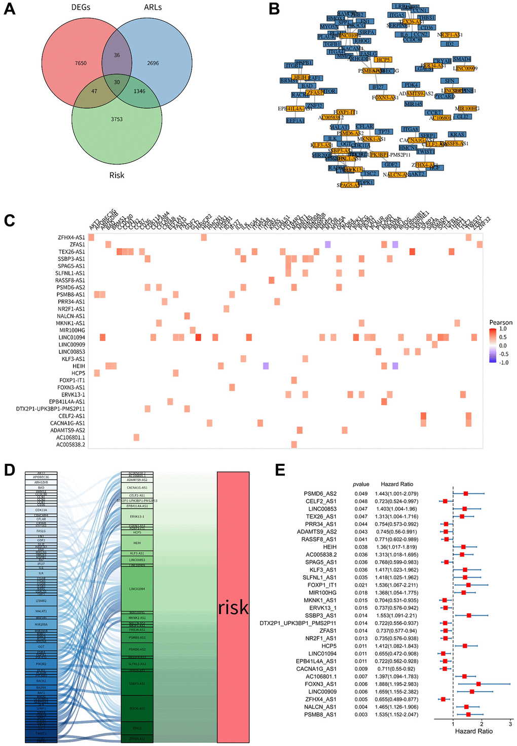 Identification of anoikis-related lncRNAs in ovarian cancer (OV). (A) Venn diagram showing the 30 lncRNAs identified through the intersection of differentially expressed lncRNAs, Kaplan-Meier survival analysis, and lncRNAs associated with ARGs. (B) Coexpression network depicting the relationship between the 30 differentially expressed lncRNAs, DEGs (differentially expressed genes), and ARLs (anoikis-related lncRNAs) based on Pearson's correlation coefficient (R > 0.4, p C) Correlation heatmap illustrating the correlation between the 30 lncRNAs and ARGs. The color intensity represents the strength of the correlation. (D) Sankey diagram demonstrating the connections between the 30 lncRNAs and ARGs. (E) Forest plots displaying the results of univariate Cox regression analysis for the 30 lncRNAs. OV refers to ovarian cancer, DEGs stands for differentially expressed genes, ARGs denotes anoikis-related genes, and ARLs represents anoikis-related lncRNAs.