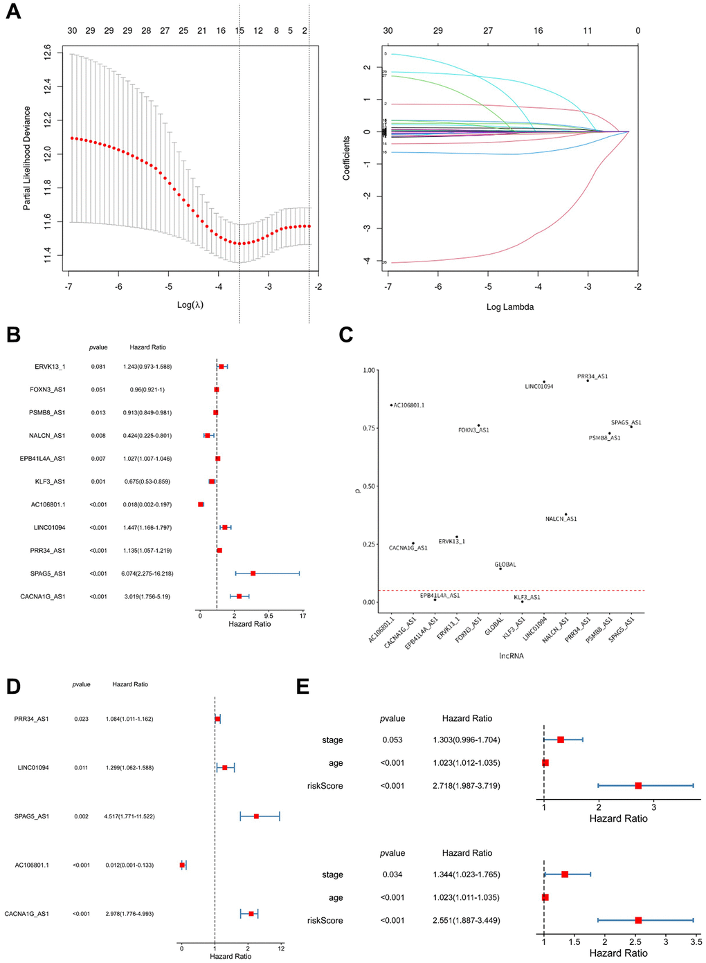 Construction of a prognostic model consisting of five anoikis-related lncRNAs. (A) LASSO regression analysis and partial likelihood deviance were performed to identify the prognostic lncRNAs. (B) Four lncRNAs were excluded based on the multivariate Cox regression analysis. (C) Two lncRNAs were excluded based on the PH assumption (proportional hazards assumption). (D) Five arlncRNAs were finally identified by performing multivariate Cox regression analysis. (E) Univariate and multivariate Cox regression analysis was conducted to determine the independent risk factors.