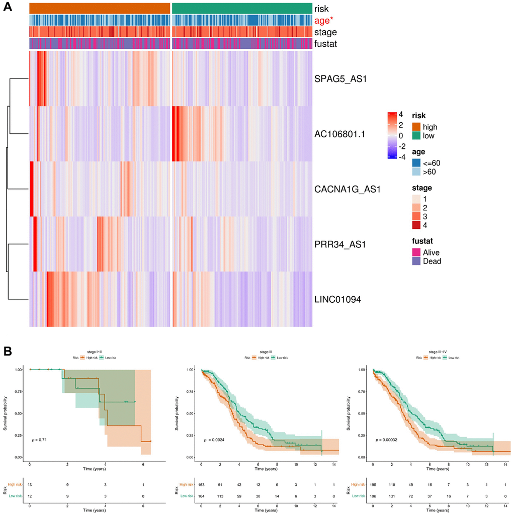 Relationship between the prognostic model consisting of five anoikis-related lncRNAs and clinicopathological features in ovarian cancer patients. (A) Heatmap displaying the distribution of the expression levels of the five lncRNAs in the high-risk group and low-risk group based on different clinicopathological features. (B) Kaplan-Meier curves illustrating the overall survival in different stages.