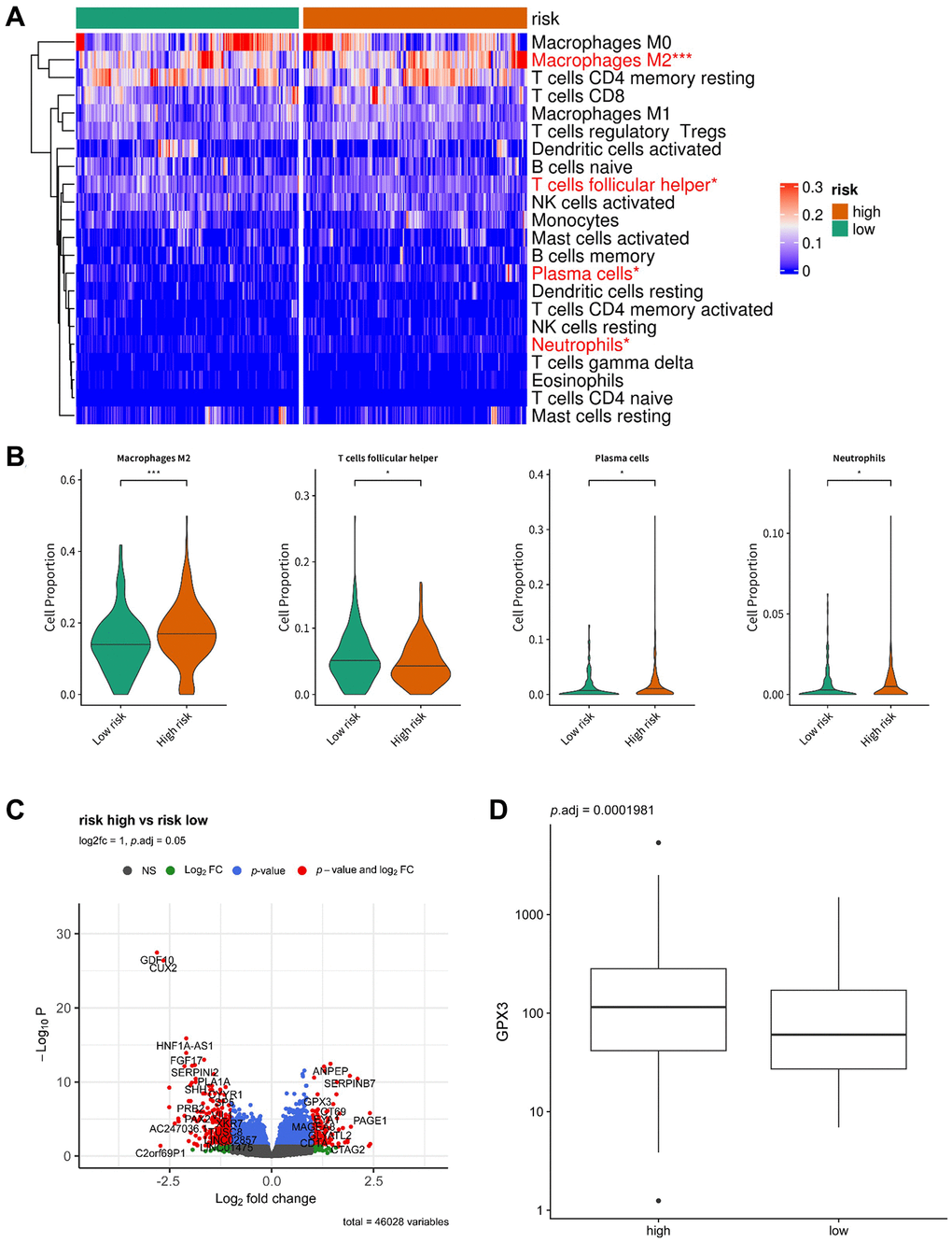 Immune infiltrate analysis of the prognostic model. (A) Heatmap displaying the distribution of 22 different immune cell types in the high-risk group and low-risk group. (B) Box plots illustrating the proportion of macrophages M2, T cells follicular helper, plasma cells, and neutrophils in the low-risk group and high-risk group. (C) Volcano plot depicting the differentially expressed genes between the low-risk group and high-risk group (p  1). (D) Box plot showing the expression of GPX3 in the low-risk group and high-risk group.