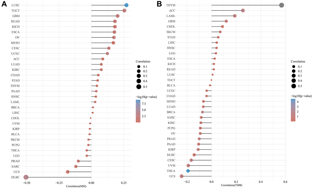 Correlation analysis of TMB/MSI and LRP6 expression. The abscissa represents the correlation coefficient between LRP6 and MSI (A) and TMB (B), the ordinate represents different tumors. The size of the dots represents the size of the correlation coefficient, and different colors represent the significance of p-value.