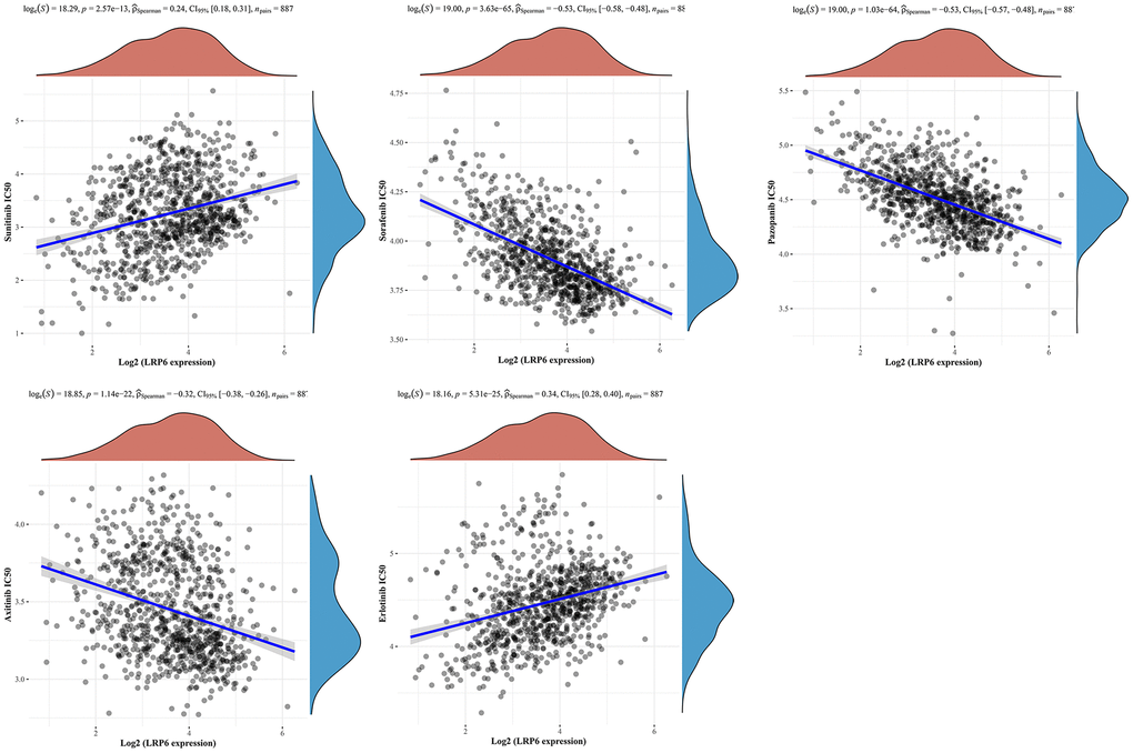 Correlation between LRP6 expression and drug sensitivity. Spearman correlation analysis of sunitinib, sorafenib, pazopanib, axtinib and erlotinib IC50 score and LRP6 expression.