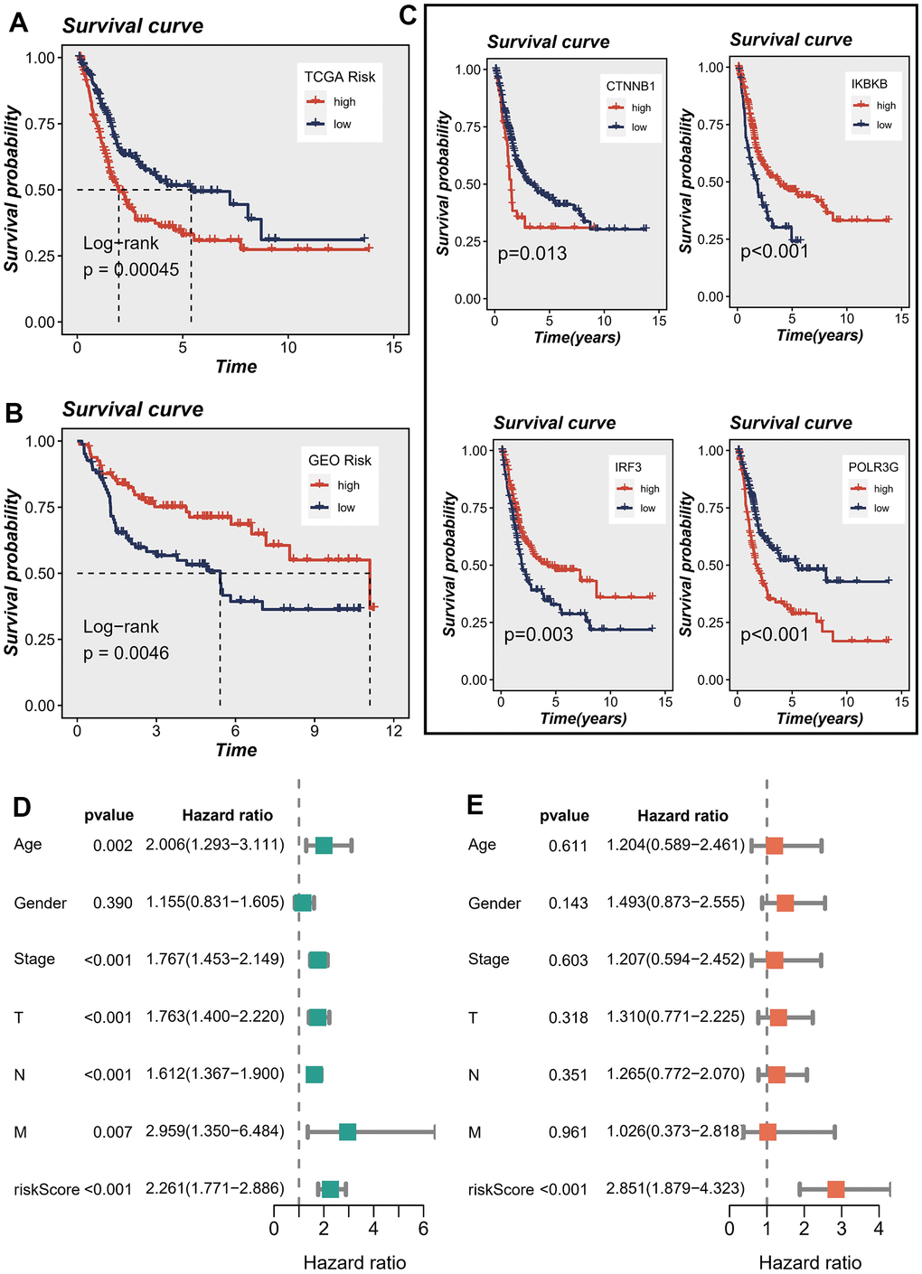 Correlations between model genes and their impact on survival. (A, B) Prognostic analysis of signatures in the TCGA and GSE13507 datasets utilizing Kaplan-Meier method. (C) The association between model genes and survival outcomes. (D, E) The forest plot presents the outcomes of both univariate and multivariate Cox regression analyses, examining the correlation between OS and clinicopathological factors, including the risk score, in patients diagnosed with BLCA.