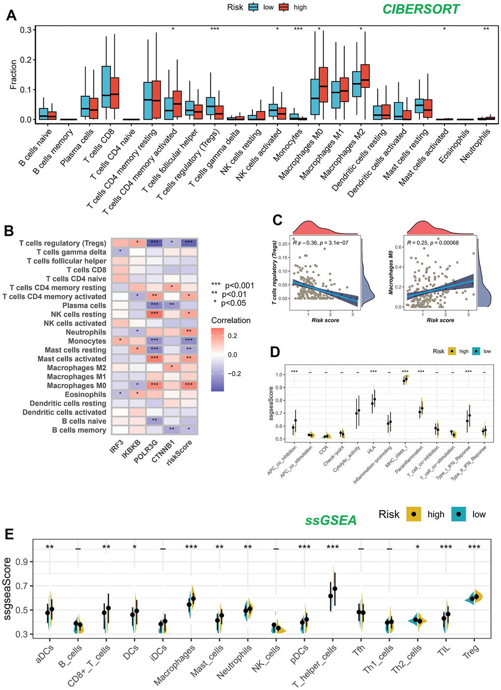 Analysis of immune microenvironment. (A) Assessing disparities in immune cell content among high and low-risk cohorts. (B, C) Association between immune cell content and model genes and risk scores. (D, E) The ssGSEA methodology was employed to assess the disparities in immune cells and immune-associated functions among groups categorized as high risk and low risk.