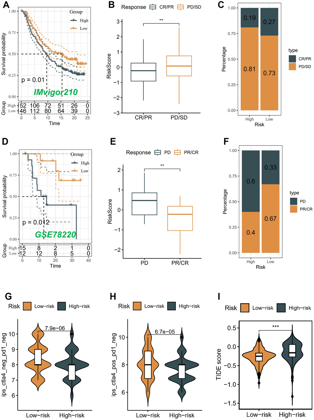 Correlation of the risk score with immunotherapy response in two cohorts. Survival analyses (A), Distribution of risk score in different immunotherapy response groups (B), and Response to anti-PD-L1 therapy (C) between low- and high-risk groups in advanced urothelial cancer cohort (IMvigor210 cohort). Survival analyses (D), Distribution of risk score in different immunotherapy response groups (E), and Response to anti-PD-1 therapy (F) between low- and high-risk groups in melanoma cohort (GSE78220). (G–I) Differences in IPS and TIDE among individuals categorized as high- and low-risk.