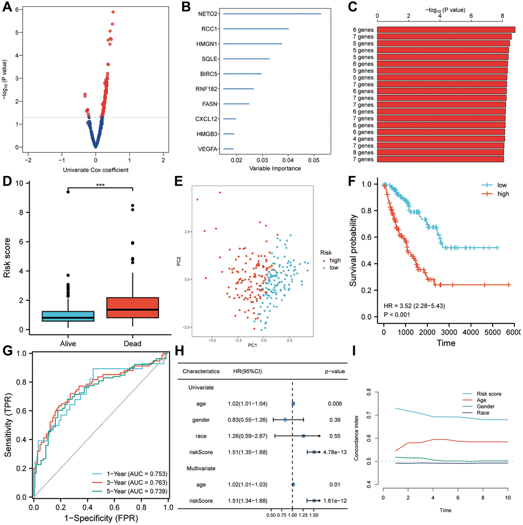 Risk scores are predictive of poor survival in the TCGA-SARC set. (A) A univariate Cox analysis determined that 147 candidates from the brown module were associated with prognosis for sarcoma patients (P B) The top ten genes with the highest genetic significance were selected using random forest. (C) A survival prediction model was constructed using a gene combination with a relatively small number of genes and a significant P value. (D) A higher risk score was observed in patients who died during follow-up than in people who survived. (E) A Kaplan-Meier analysis revealed poor overall survival in the high-risk score group. (F) In a principal component analysis, risk score was found to be a useful tool for evaluating a patient’s prognosis with sarcoma. (G) Overall survival was predicted well by risk scores (AUC > 0.73) in patients with sarcomas. (H) Risk score was found to be an independent risk factor for OS in both univariate and multivariate Cox regression analyses. (I) A C-index analysis concluded that the risk score had significantly more predictive power than any other clinical characteristic. Abbreviations: HR: hazard ratio; ROC: receiver operating characteristic. Statistical significance is indicated by an asterisk: ***p 