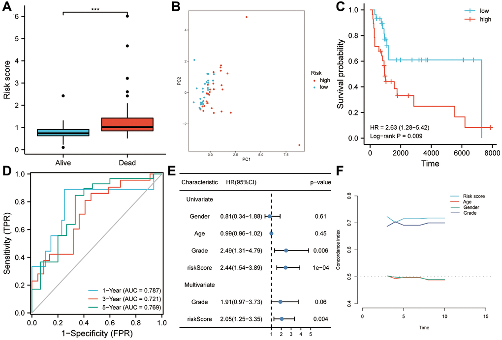 Using GSE17118 as a validation dataset for the risk model. (A) Patients who died during follow-up had a higher risk score than those who survived. (B) Risk score was found to be a useful tool to assess the prognosis of sarcoma patients based on principal component analysis. (C) Patients with higher risk scores had a worse overall survival according to Kaplan-Meier analysis. (D) As shown in the ROC curve, risk scores had good predictive value for survival in sarcoma patients (AUC > 0.72). (E) Risk score was found to be an independent risk factor for OS in both univariate and multivariate Cox regression analyses. (F) The risk score’s predictive power was significantly higher than that of other clinical characteristics, according to the C-index analysis. Abbreviations: HR: hazard ratio; ROC: receiver operating characteristic. Statistical significance is indicated by an asterisk: ***p 