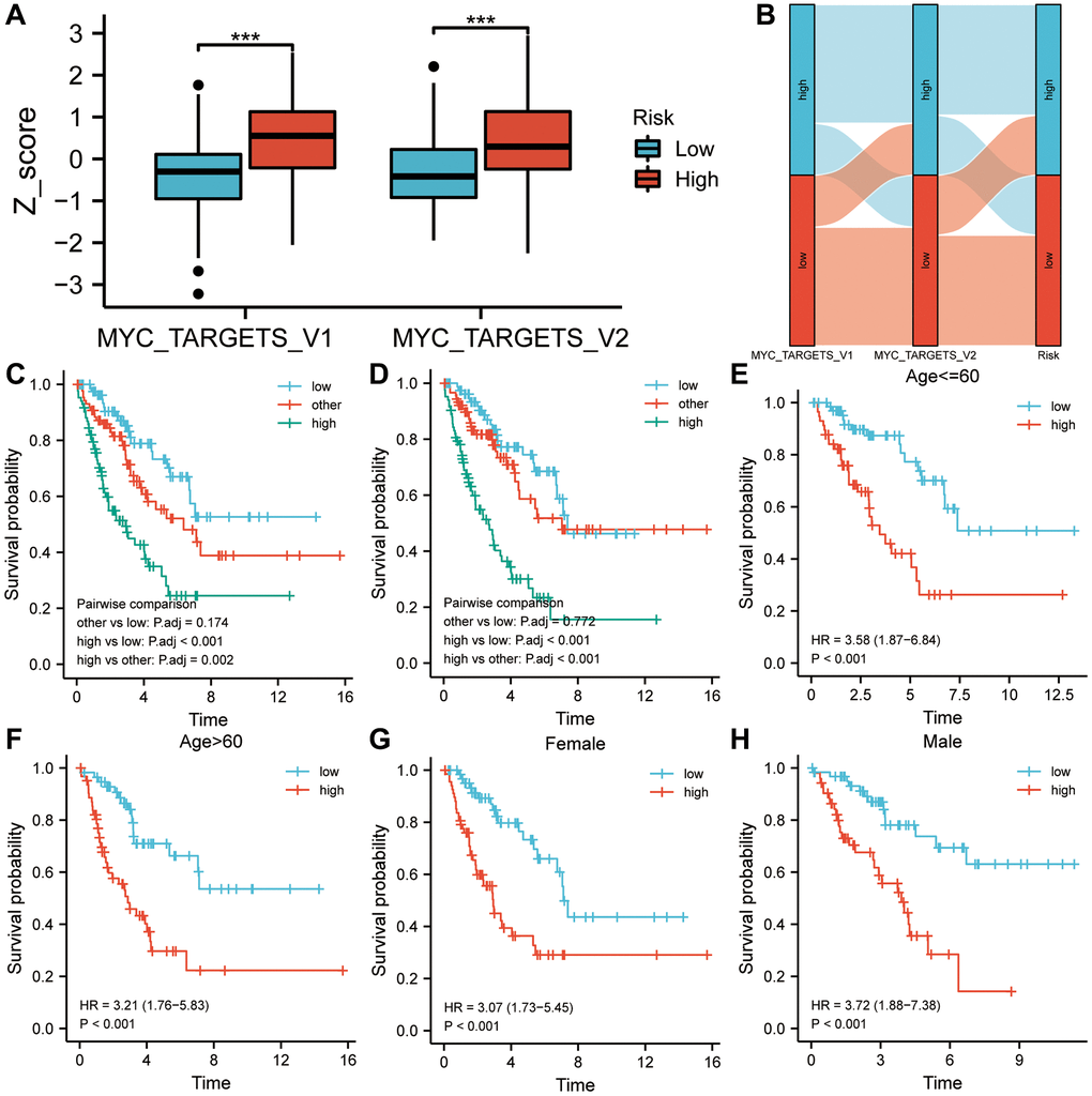 A two-factor analysis of survival incorporating cancer hallmarks and risk scores. (A) MYC targets V1 and V2 of the high-risk group showed significantly higher Z-scores than those of the low-risk group. (B) A correlation analysis was conducted among the cancer hallmarks, the risk score, and the survival status of sarcoma patients. (C) High MYC targets V1 & high-risk score predicted a worse prognosis in a two-factor survival analysis. (D) High MYC targets V2 & high-risk score predicted a worse prognosis in a two-factor survival analysis. (E–H) In various subgroups based on clinicopathological characteristics, the risk score was a biomarker of poor prognosis. Abbreviation: HR: risk ratio.
