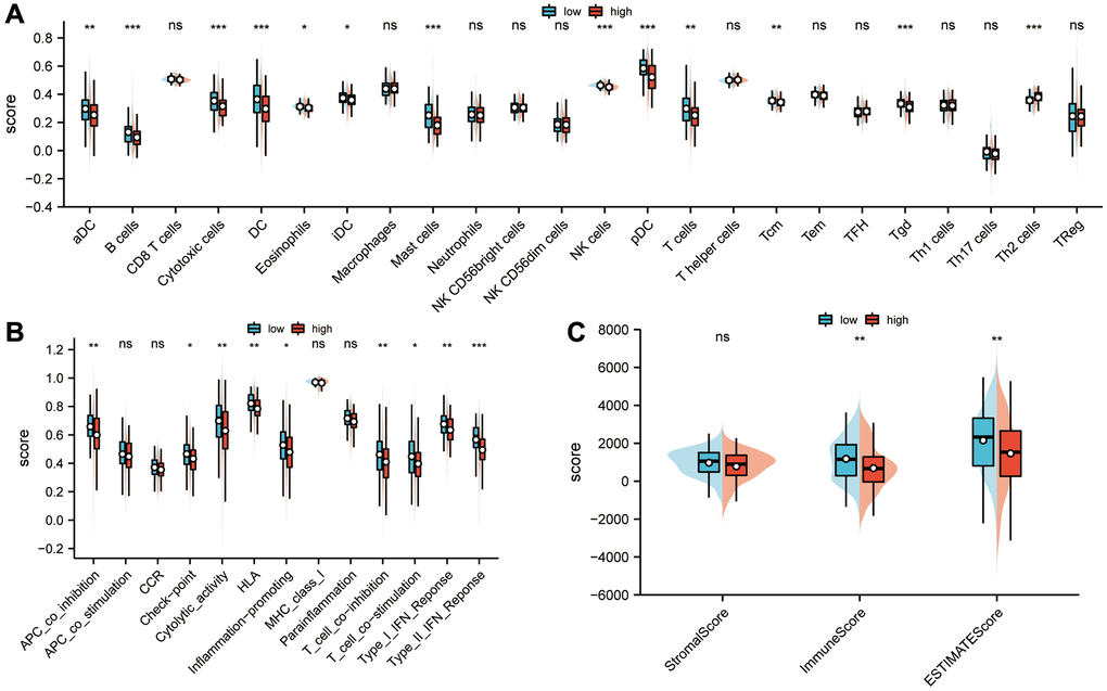 Analysis of the correlation between sarcoma risk score and tumor immune infiltration. (A) The degree of immune infiltration and immune function status of high- and low-risk groups were calculated using ssGSEA. In the low-risk group, there was a higher degree of immune infiltration of aDCs, B cells, cytotoxic cells, DCs, eosinophils, iDCs, mast cells, NK cells, pDCs, T cells, Tcm, and Tgds than in the high-risk group, while Th2 cells were more infiltrated in the high-risk group than those in the low-risk group (P B) In comparison with the high-risk group, the low-risk group had higher scores for APC co-inhibition immune function scores, HLA, inflammation-promoting, check-point, cytolytic activity, T cell co-inhibition, T cell co-stimulation, type I IFN response and type L IFN response (P C) An ESTIMATE algorithm was used in calculating stromal scores, immune scores, and estimation scores. Abbreviation: ESTIMATE: estimation of stromal and immune cells in malignant tumor tissues using expression data. Statistical significance is indicated by an asterisk: *p **p ***p 