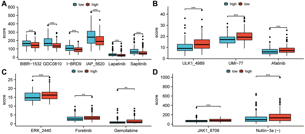 Study of the efficacy of drug therapy for low-risk and high-risk patients. (A) In the low-risk groups, treatment scores for BIBR-1532, GDCO-810, I-BRD9, IAP-5620, Lapatinib and Sapitinib were higher than in the high-risk groups. (P B) In the low-risk groups, treatment scores for ULK-14989, UMI-77, and Afatinib were higher than in the high-risk groups (P C) Foretinib, Gemcitabine, and ERK-2440 treatment scores in the high-risk groups were higher than in the low-risk groups (P D) JAK1-8709 and Nutlin-3a(-) treatment scores were higher in high-risk groups than in low-risk groups (P *p **p ***p 