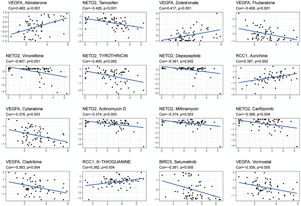 An analysis of six hub genes for drug sensitivity. Drug susceptibility to Abiraterone and Zoledronate was positively correlated with VEGFA expression, while Fludarabine, Cytarabine, Cladribine, and Vorinostat were negatively correlated. Drug susceptibility to Tamoxifen, Vinorelbine, Tyrothricin, Depsipeptide, Actinomycin, Mithramycin, and Carfilzomib was negatively correlated with NETO2 expression. Drug sensitivity to Acrichine and 6-Thioguanine was positively correlated with RCC1 expression. A negative correlation was found between Selumetinib sensitivity and BIRC5 expression. Abbreviation: Cor: correlation coefficient.