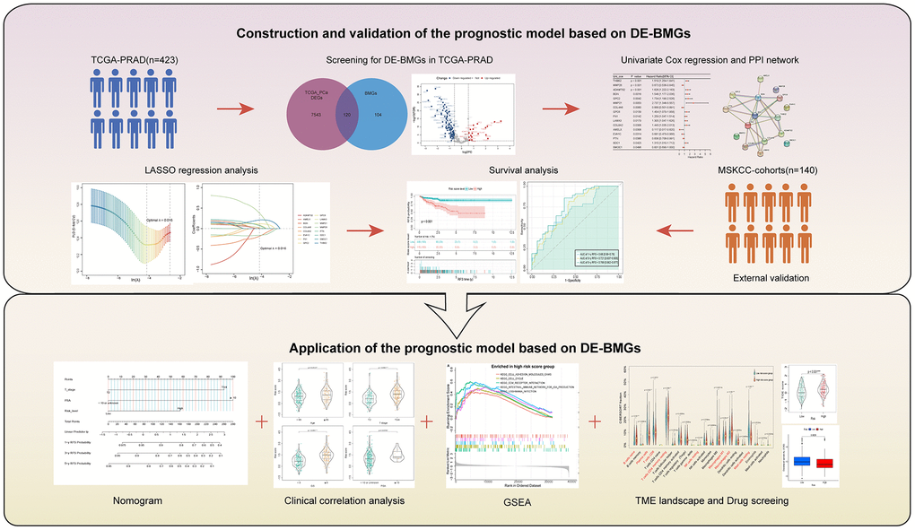 Methodology of the study.