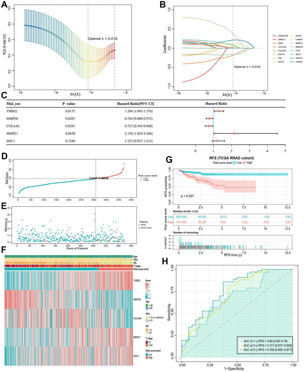 BMRM construction and prognostic analysis. (A) Selection of the optimal penalty parameter (λ) in the LASSO Cox regression model. (B) Gene coefficient spectrum of the 16 RFS-associated BMGs in the TCGA-PRAD cohort in the LASSO Cox regression analysis. (C) Forest plot of multivariate analysis showing 5 genes (THBS2, MMP26, COL4A6, MMP21 and SDC1) as independent prognostic factors for RFS in PCa patients. (D, E) BMRS plots from the TCGA training set. (F) Heat map of the two BMRS groups and correlation analysis of clinicopathological characteristics. (G) Kaplan-Meier analysis of RFS for PCa patients in both risk groups. (H) AUC shows the accuracy of BMRM in predicting 1-, 3-, and 5-year RFS in the TCGA training set.