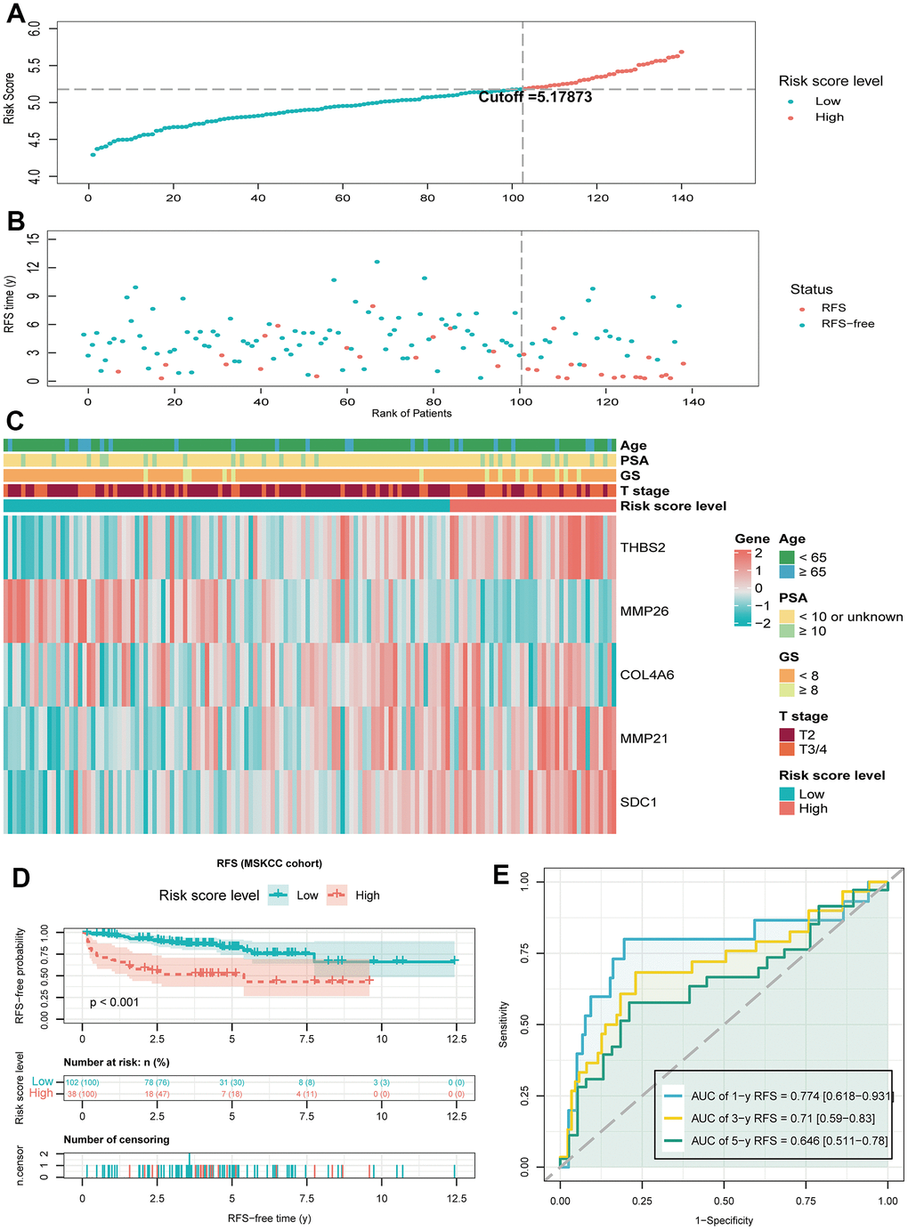 Validate the predictive performance of BMRM in the MSKCC validation set. (A, B) Risk score plots from the MSKCC validation set. (C) Risk heat map of the two risk groups in the MSKCC validation set and correlation analysis of clinicopathological characteristics. (D) Kaplan-Meier analysis of RFS in the MSKCC validation set for PCa patients in both risk groups. (E) AUC shows the accuracy of BMRM in predicting 1-, 3-, and 5-year RFS in the MSKCC validation set.