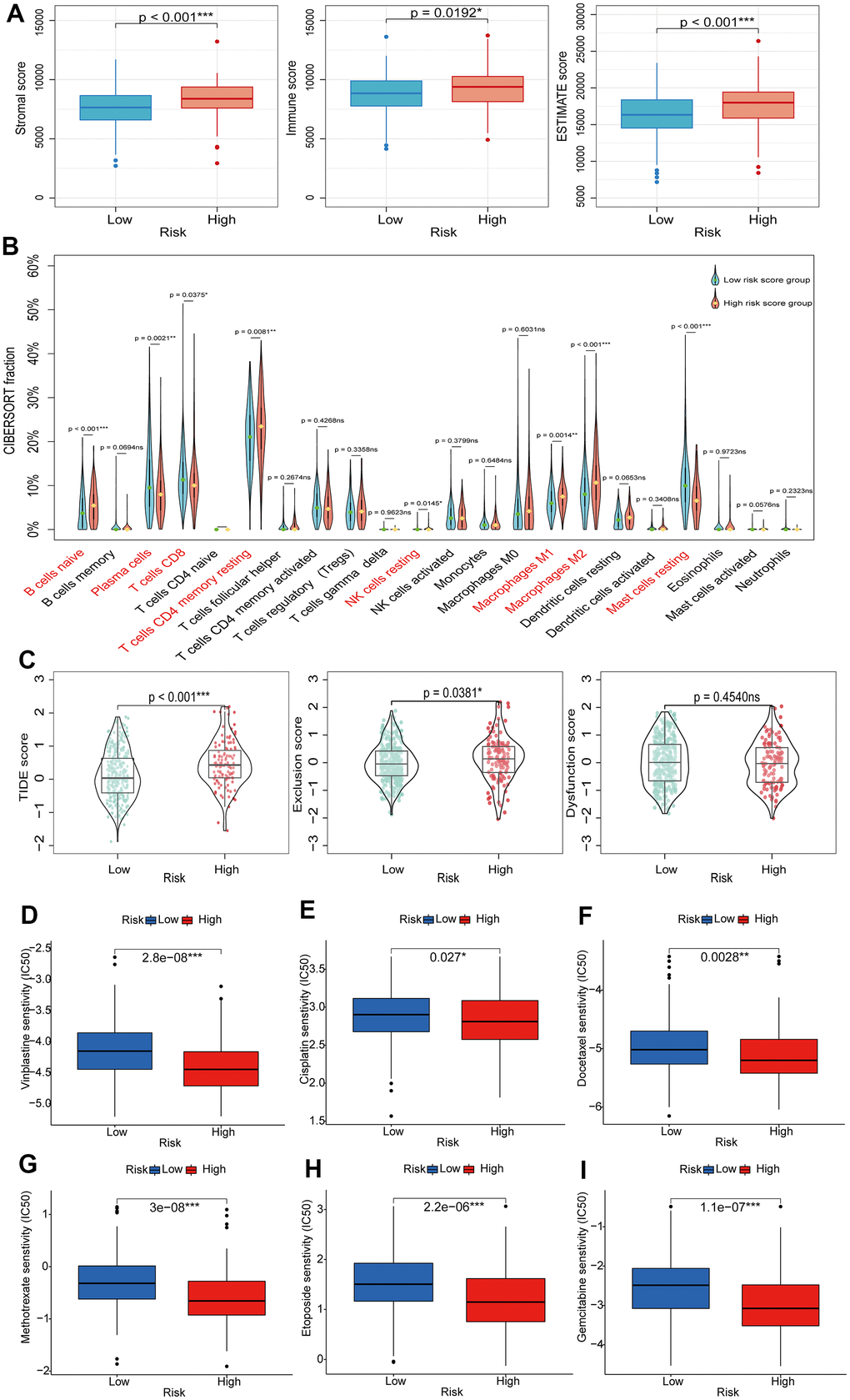 Exploring the relationship between BMRS and TIME, immunotherapy and chemotherapy. (A) Comparison of stromal score, immune score and ESTIMATE score between the high-risk and low-risk groups. (B) Differences in tumor immune cell infiltration between the high-risk and low-risk groups. (C) TIDE scores between high-risk and low-risk groups. (D–I) Association between BMRS and IC50 of chemotherapeutic agents in PCa patients, including Vinblastine, Cisplatin, Docetaxel, Methotrexate, Etoposide and Gemcitabine. ns: p ≥ 0.05, * p p p 