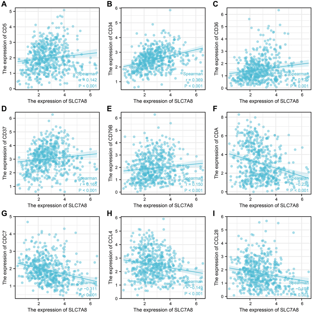 SLC7A8 expression is correlated with immune factors. (A) CD5. (B) CD34. (C) CD36. (D) CD37. (E) CD79B. (F) CDA. (G) CDC7. (H) CCL4. (I) CCL28.