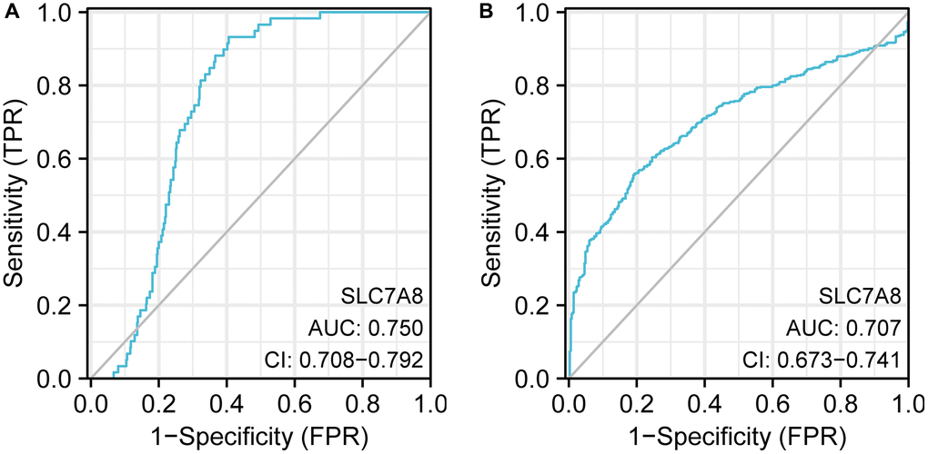 ROC curve analysis indicating the diagnostic value of SLC7A8 in LUAD. (A) TPM data from TCGA. (B) TPM data from Xena. Abbreviation: ROC: receiver operating characteristic.