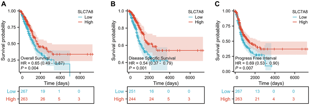 Expression level of SLC7A8 is associated with the prognosis of LUAD patients. SLC7A8 expression is associated with (A) OS in LUAD patients, (B) DSS in LUAD patients, (C) PFI in LUAD patients. Abbreviations: OS: overall survival; DSS: disease-specific survival; PFI: progression-free interval.
