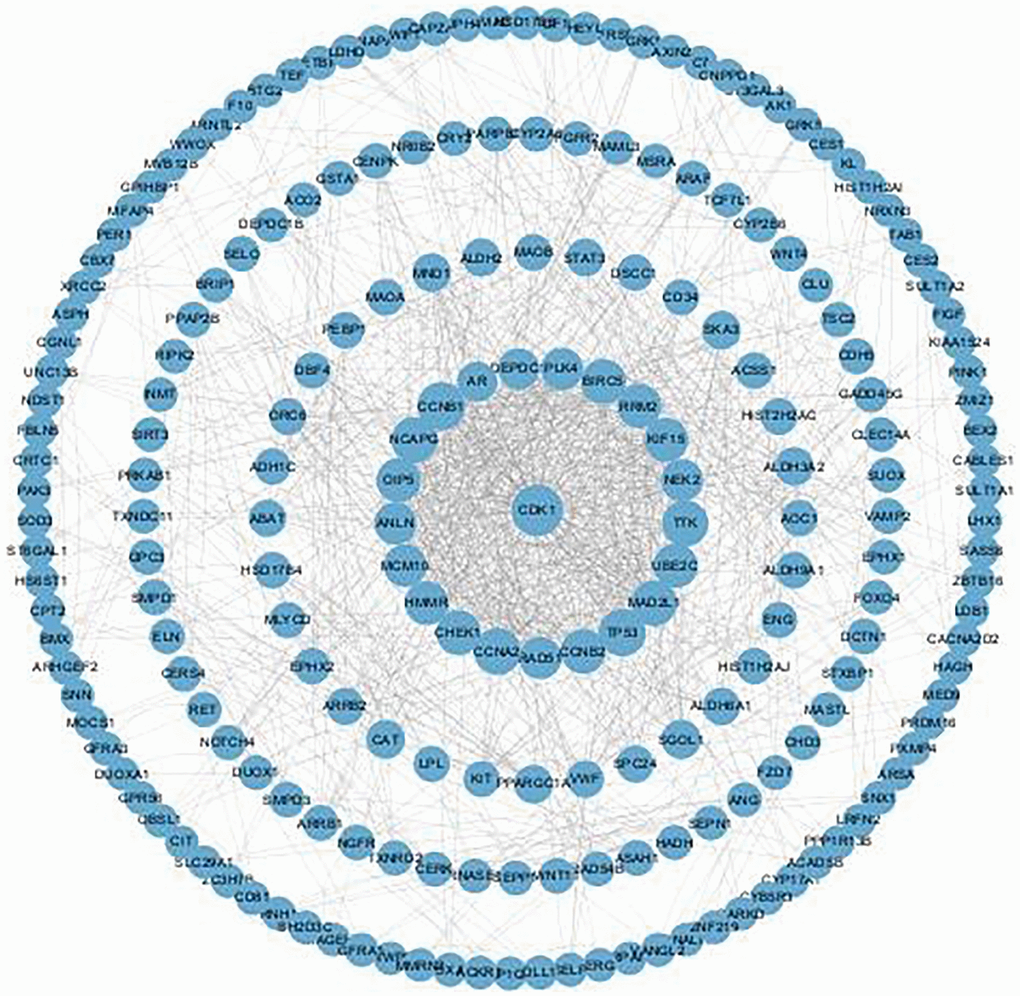 PPI network of genes strongly co-expressed with SLC7A8. Abbreviation: PPI: protein–protein interaction.