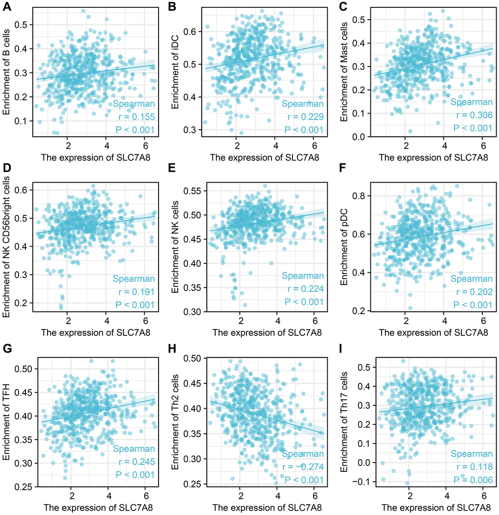 SLC7A8 expression is correlated with immune infiltrated cells. (A) B cells. (B) iDC. (C) Mast cells. (D) NK CD56 bright cells. (E) NK cells. (F) pDC. (G) TFH. (H) Th2 cells. (I) Th17 cells.