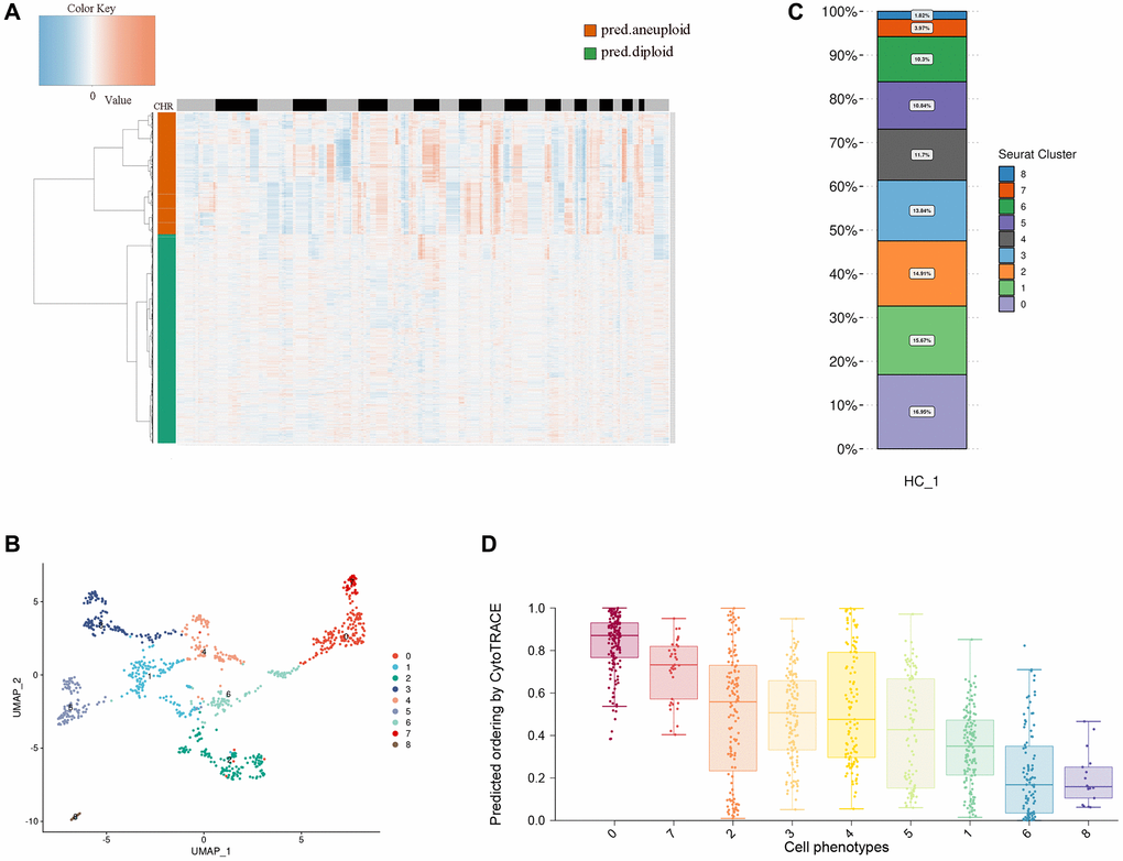 Heterogeneity of esophageal tumor cells. (A) Heatmap showing the differences in chromosomal copy numbers within the epithelial cells. (B) UMAP plot showing the subtypes of tumor cells. (C) Histograms indicating the proportions of each tumor subgroup. (D) Boxplot showing cellular differentiation potential of each tumor subgroup.