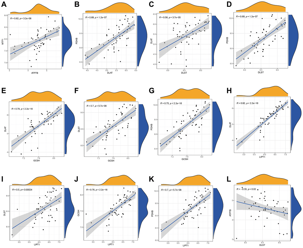 Correlation among cuproptosis modulators in IDD. There existed significantly positive correlations in the gene expression levels of MTF1-ATP7B, PDHB-DLAT, PDHB-DLST, DLAT-DLST, DLAT-GCSH, DLST-GCSH, PDHB-GCSH, DLAT-LIPT1, DLST-LIPT1, GCSH-LIPT1, and PDHB-LIPT1 in IDD cases (A–K), while the gene expression levels of ATP7B-DLST in IDD cases exhibited significantly negative correlation (L).