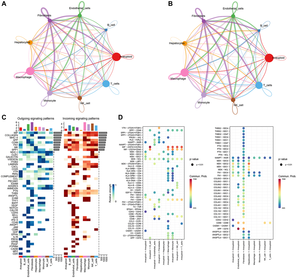 CellChat analysis and construction of cellular communication network. (A) Circle diagrams of that numb and strength of subpopulation interaction. (B) Number of communication interactions of each subgroup. (C) Communication and interaction strength of each subgroup. (D) Aneuploidy cell subpopulations and ligand receptor profiles among cell subpopulations.