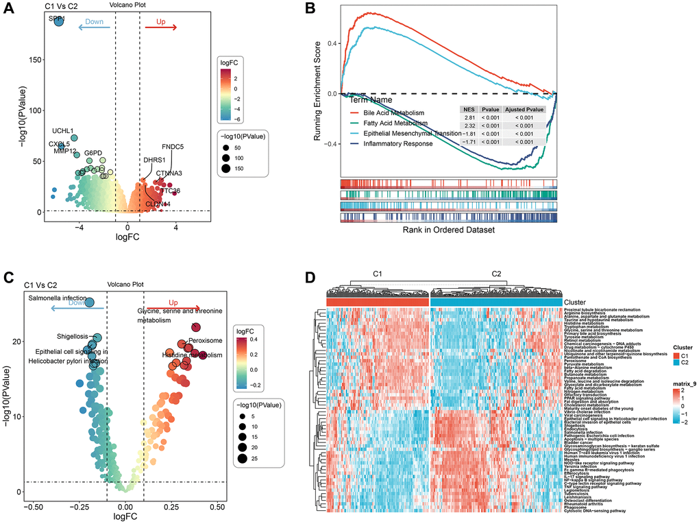 Pathway analysis of molecular subtypes. (A) Volcano map of differential analysis of genes between the two subtypes. (B) GSEA-GO analysis of differential genes between the two groups. (C) Bubble map of related pathways activated/inhibited in the comparison of the two subtypes. (D) Heat map of KEGG-related pathways with differences between the two subtypes.