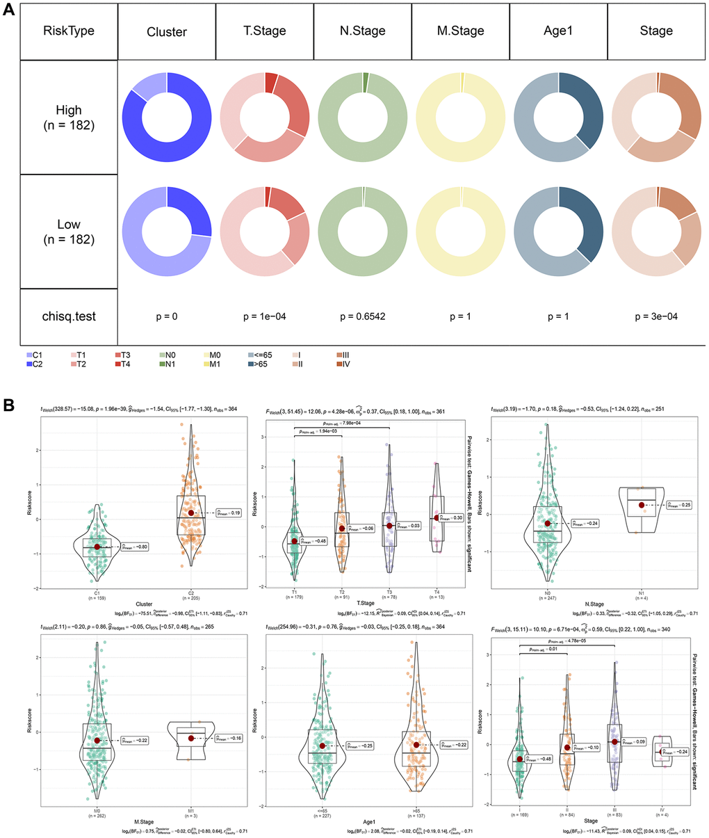 RiskScore in different clinicopathological features. (A) Comparison of clinical phenotypes between RiskScore groups in the TCGA cohort. (B) Differences between RiskScores of different phenotypes in the TCGA cohort (Wilcox. Test, *P **P ***P ****P 