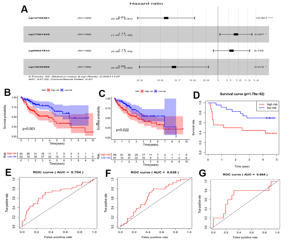 Prognostic analysis of the HPSM subgroups. (A) Forest plot displaying the hazard ratios (HRs) for 4 CpGs and OS. (B) Kaplan-Meier survival curves for OS comparing HPSM-high group with HPSM-low group within the TCGA training dataset. (C) Kaplan-Meier survival curves for OS comparing HPSM-high group with HPSM-low group within the TCGA testing dataset. (D) Kaplan-Meier survival curves for OS comparing HPSM-high group with HPSM-low groups within the GSE52018 dataset. (E) ROC curves to predict the OS between HPSM groups within the TCGA training dataset. (F) ROC curves for OS prediction between HPSM groups within the TCGA testing dataset. (G) ROC curves for OS prediction between HPSM groups within the GSE52018 dataset.