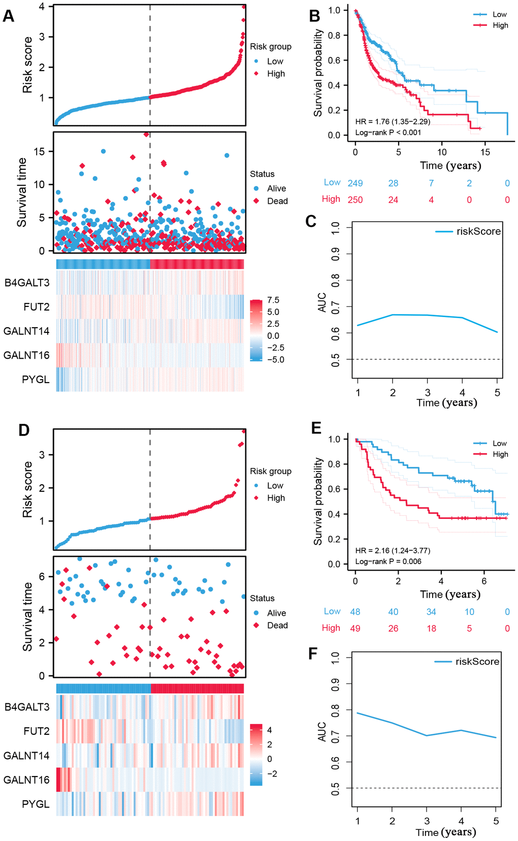Construction of prognostic signature of five glycosyltransferase-related genes. (A–C) The prognostic signature was constructed in the TCGA dataset. (A) The distribution of risk score, OS status, and the heatmap of the expression profiles of signature genes, (B) K-M survival curves based on the prognostic signature, and (C) the AUCs of glycosyltransfer related gene signature. (D–F) Evaluate the performance of the prognostic signature in the GSE41613 dataset. (D) The distribution of risk score, OS status, and the heatmap of the expression profiles of signature genes, (E) K-M survival curves based on the prognostic signature, and (F) the AUCs of glycosyltransfer related gene signature.