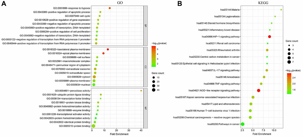 Functional enrichment analysis of ferroptosis-related DEGs in breast cancer. (A) Gene Ontology (GO) analysis of ferroptosis-related DEGs. The top 10 enriched terms in each category (biological process, cellular component, and molecular function) are shown. (B) Kyoto Encyclopedia of Genes and Genomes (KEGG) pathway analysis of ferroptosis-related DEGs. The top 10 enriched pathways are shown.