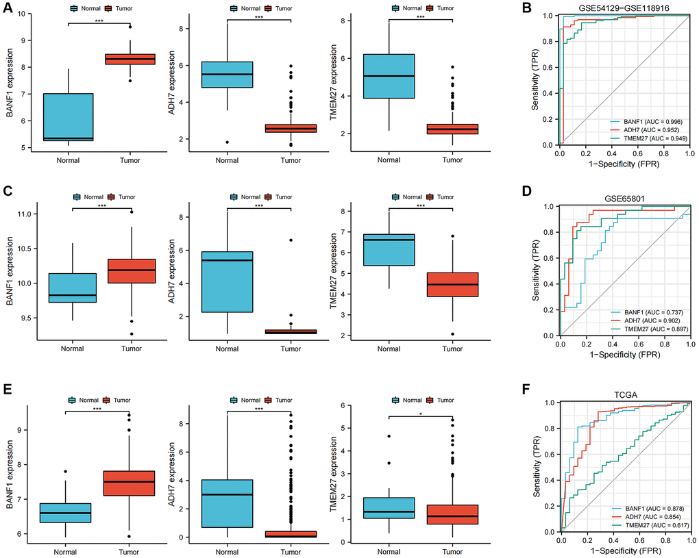 Expression and diagnostic value of characterized genes. (A) The box plots showed the expression of three GC characteristic genes (BANF1, ADH7, TMEM27) in GSE54129-GSE118916 dataset. (B) ROC curves were used to evaluate the diagnostic efficacy of three GC characteristic genes (BANF1, ADH7, TMEM27) in GSE54129-GSE118916 dataset. (C) The box plots showed the expression of three GC characteristic genes (BANF1, ADH7, TMEM27) in GSE65801 dataset. (D) ROC curves were used to evaluate the diagnostic efficacy of three GC characteristic genes (BANF1, ADH7, TMEM27) in GSE65801 dataset. (E) The box plots showed the expression of three GC characteristic genes (BANF1, ADH7, TMEM27) in TCGA dataset. (F) ROC curves were used to evaluate the diagnostic efficacy of three GC characteristic genes (BANF1, ADH7, TMEM27) in TCGA dataset. *p ***p 