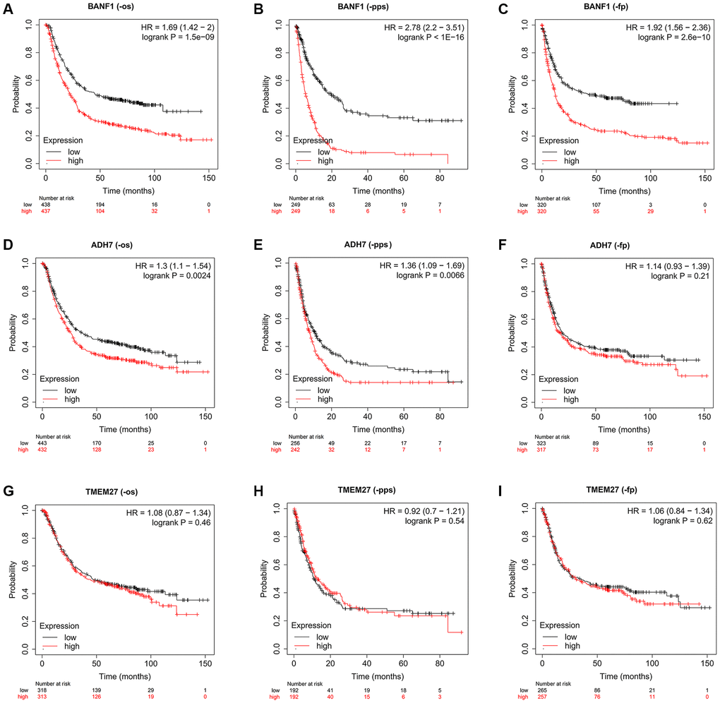 The prognostic value of three characteristic genes. (A–C) OS, PPS, FP km survival curves between high and low expression groups of BANF1. (D–F) OS, PPS, FP km survival curves between high and low expression groups of ADH7. (G–I) OS, PPS, FP km survival curves between high and low expression groups of TMEM27.