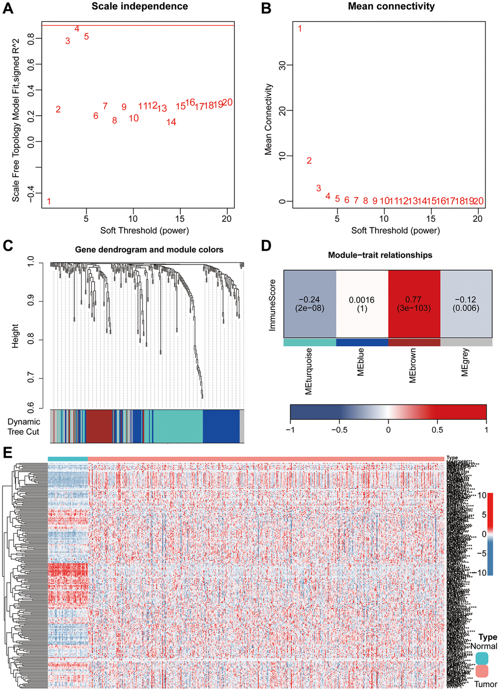 He combined application of WGCNA and differential analysis was used to screen key genes associated with aging. (A, B) The WGCNA algorithm demonstrated the optimal soft threshold. (C, D) The WGCNA algorithm identifies modules associated with immunity. (E) Heatmap showing differentially expressed aging-related genes.