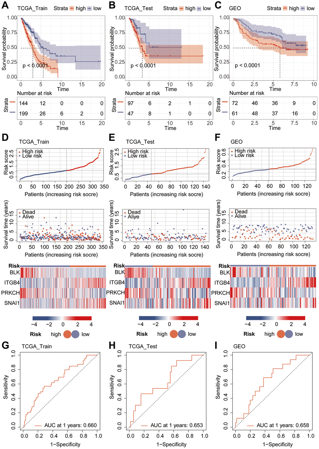 Validation of model performance. (A–C) Prognostic analysis using Kaplan-Meier curves for the riskScore model. (D–F) Heatmap and risk curve analysis of the riskScore model. (G–I) ROC analysis of the riskScore Model.