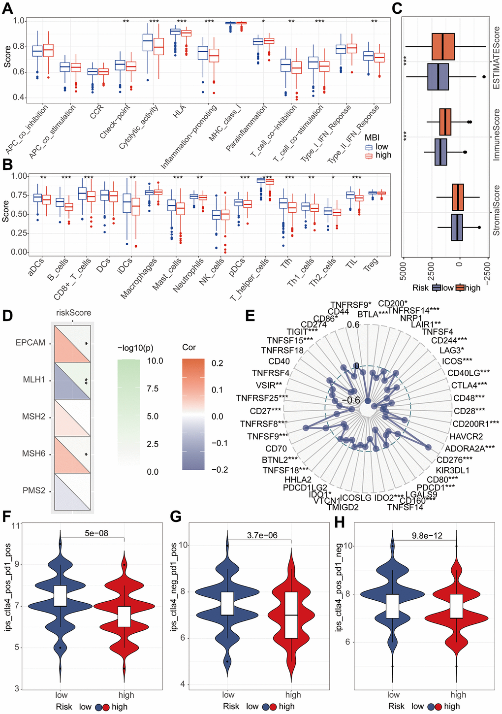 Immune analysis of riskScore model. (A) The ssGSEA algorithm was used to calculate the relationship between riskScore and various immune cells. (B) The ssGSEA algorithm was employed to assess the relationship between riskScore and different immune-related functions. (C) TME analysis was performed to evaluate the differences between high and low-risk groups. (D) Mismatch repair (MMR) analysis revealed a strong association between riskScore and MMR status. (E) Immune checkpoints analysis revealed a strong association between riskScore and immune checkpoints. (F–H) Immune therapy analysis reveals treatment efficacy in high and low-risk patient groups.