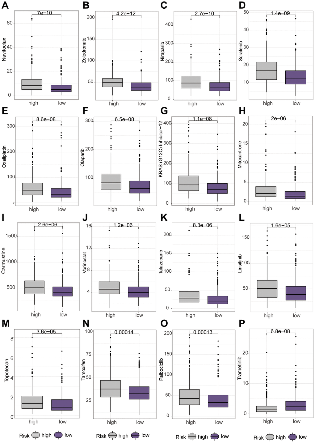 Differential analysis of various chemotherapeutic drugs between high and low-risk groups using the “oncopredict” package. (A–O) Higher IC50 values of different chemotherapeutic drugs in the low-risk group. (P) Higher IC50 values of chemotherapeutic drug in the high-risk group.