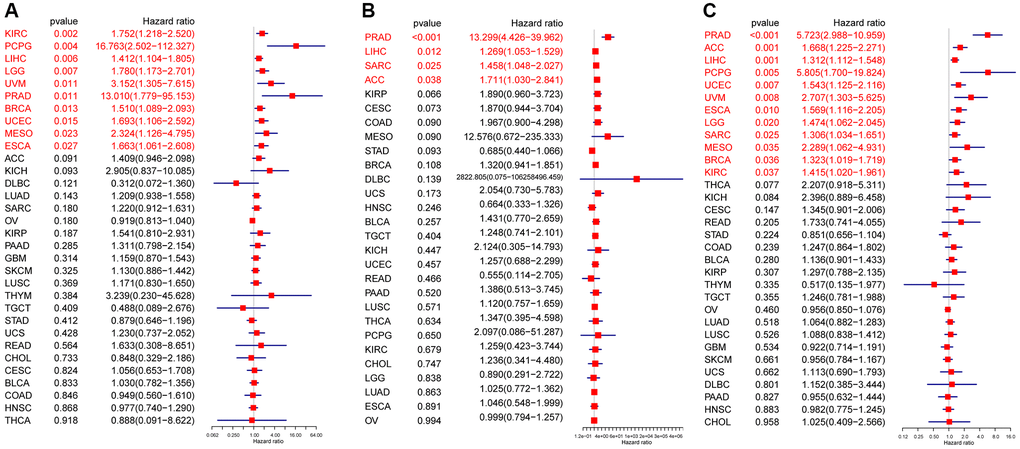 Prognostic value of CDK16. Forest plots showing results of univariate Cox regression analysis for (A) DSS, (B) DFI, and (C) PFI. Red color represents significant results (p 