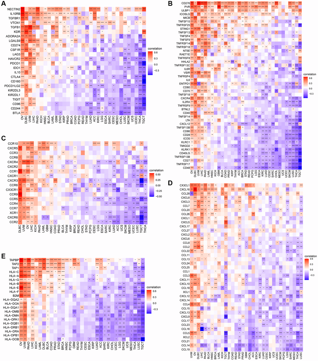 Relationship between CDK16 expression and that of immune-related genes. (A) Immunosuppressive genes. (B) Immune activated genes. (C) Chemokines. (D) Chemokine receptors. (E) MHC genes. Red represents positive correlation, blue represents negative correlation, and the darker the color, the stronger the correlation. *P **P ***P ****P 