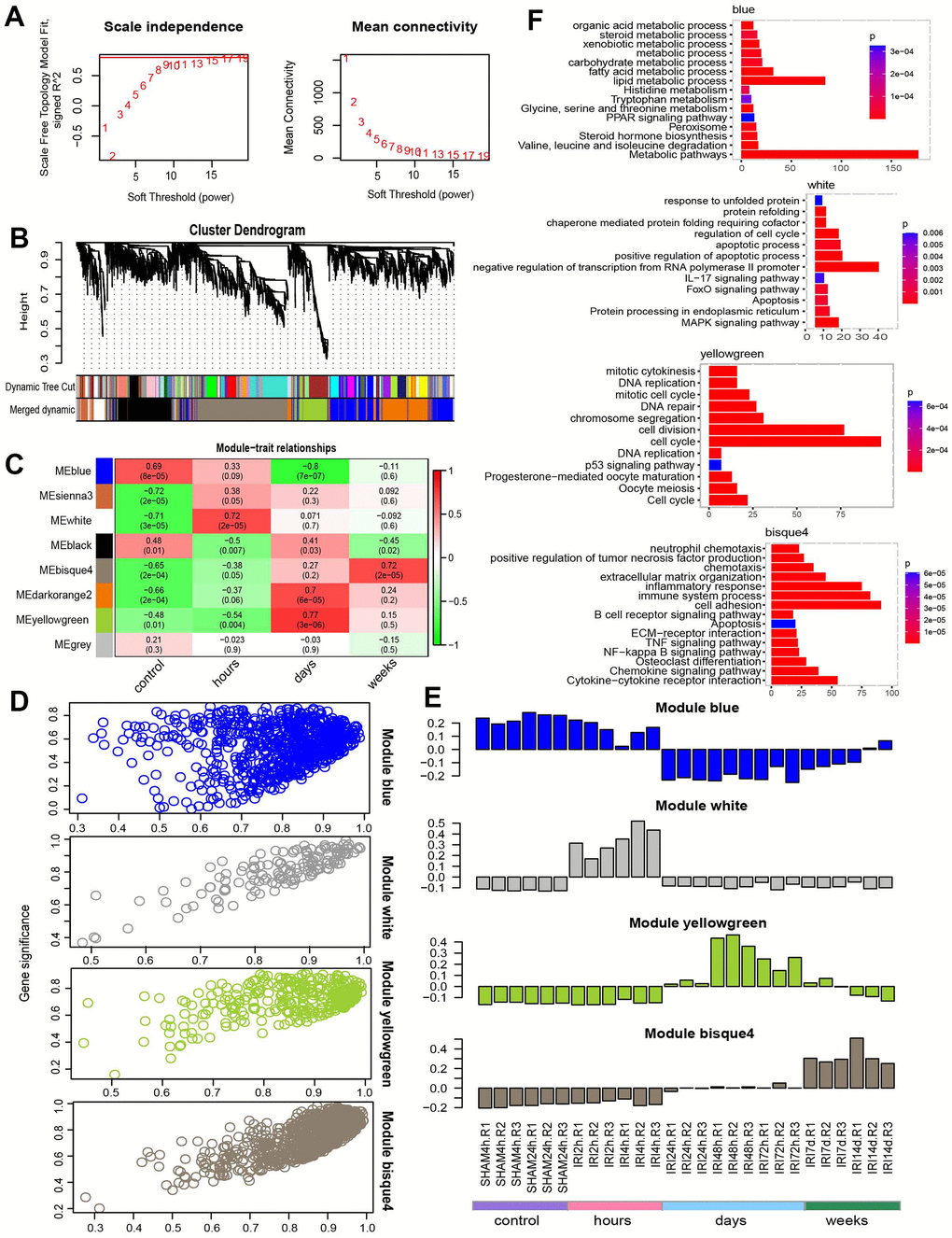 WGCNA analysis. (A) Power selection. (B) Dendrogram of coexpression network. (C) The module trait association heatmap. (D) Scatter plot for module membership and gene significance. (E) Barplot for the eigengene in each module. (F) The functions for each module.