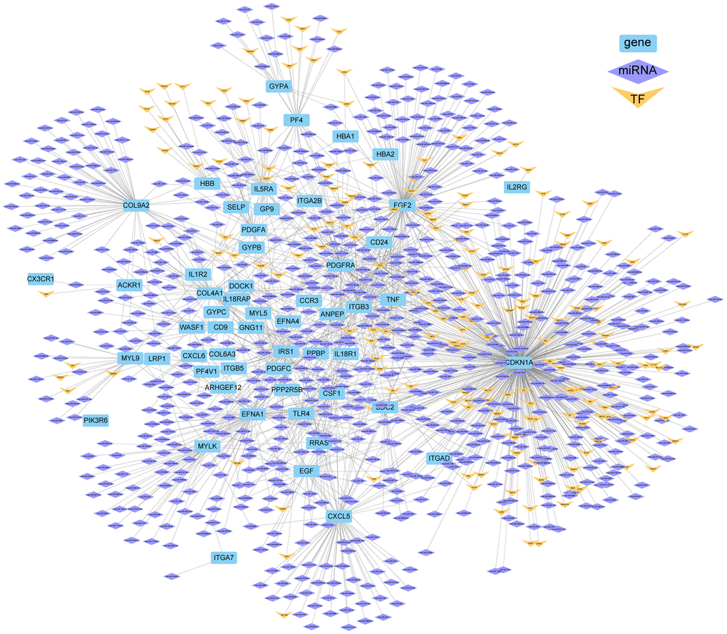 Network of TF/miRNAs and DEGs (top five KEGG pathways) in ICH patients.