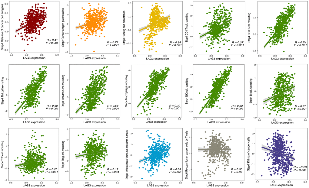 Association between LAG3 expression and cancer immunity cycle (steps 1–7) in KIRC. Association between LAG3 expression and cancer-immunity cycle (steps 1–7) in KIRC. Cancer-immunity cycle including release of cancer cell antigens (Step 1), cancer antigen presentation (Step 2), priming and activation (Step 3), trafficking of immune cells to tumors (Step 4), infiltration of immune cells into tumors (Step 5), recognition of cancer cells by T cells (Step 6) and killing of cancer cells (Step 7). The above 7-step immune activity scores were calculated for each sample of the KIRC dataset based on single-sample gene set enrichment analysis to assess the correlation between LAG3 expression and anti-cancer immune status.