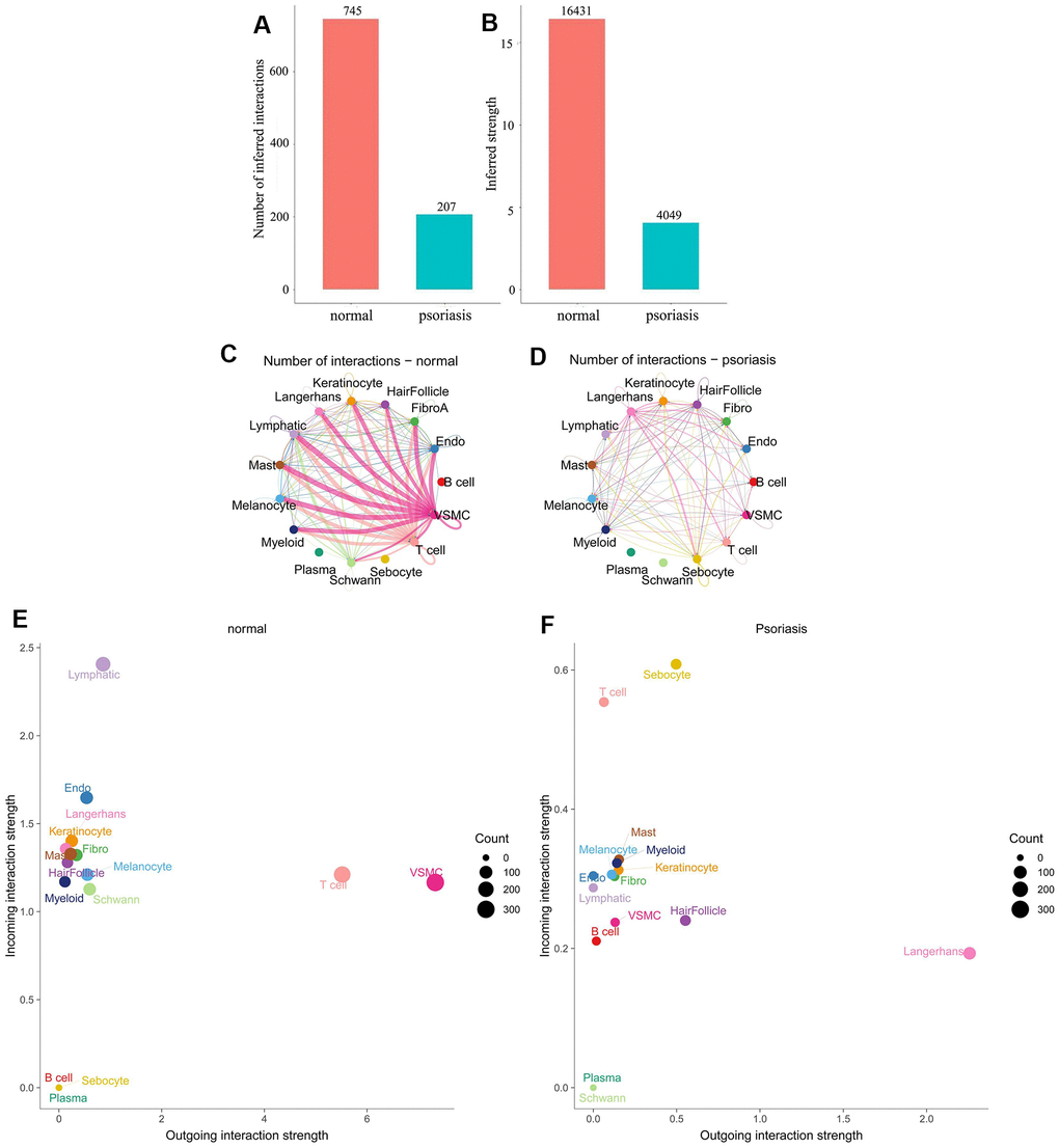 Differences in cell subpopulation communication between psoriatic and normal skin. (A, B) Differences in the number and intensity of communications. (C, D) Interaction relationships for each cell subtype. (E, F) Differences in signal input and signal output patterns.