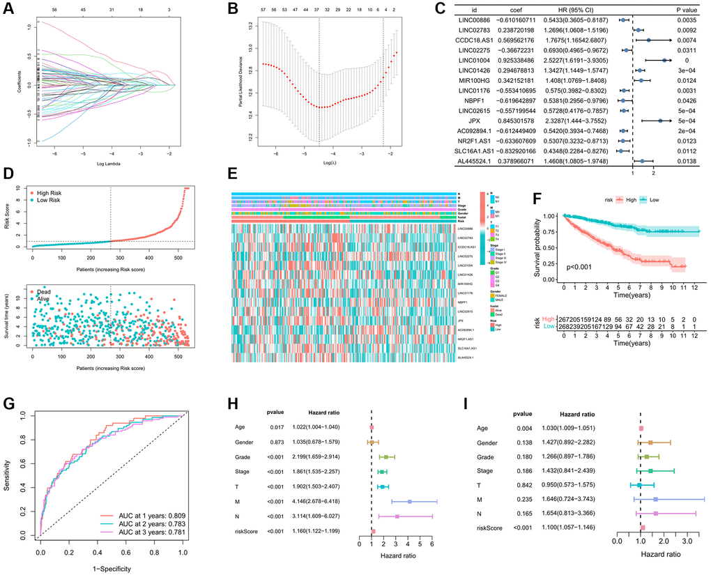 Establishment prognostic analysis of immune-related eRNAs signature. (A) LASSO coefficient profiles of the expression of prognostic immune-related eRNAs. (B) Selection of the penalty parameter (λ) in the LASSO model via 10-fold cross-validation. (C) Results of immune-related eRNAs multivariate analysis; (D) Relationship between the survival status/immune-related eRNAs signature rank and survival time (years)/immune-related eRNAs signature rank; (E) Distribution of immune-related eRNAs expression and clinical phenotype between high and low risk groups; (F) KM curve showing the survival differences between high and low risk groups; (G) Time-dependent ROC curve for OS of the riskscore. The AUC was assessed at 1, 2 and 3 years; The univariate (H) and multivariate (I) Cox regression analysis of riskscore, age, gender, grade, stage, and TMN.