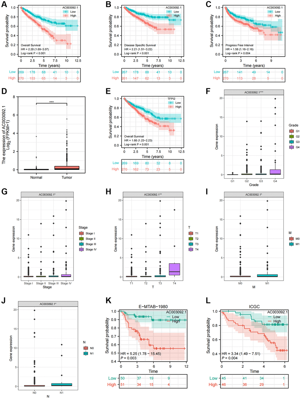 Clinical and prognostic characteristics of AC003092.1 in ccRCC. (A–C) KM survival curve showing the survival differences between high and low AC003092.1 groups (A: OS; B: DSS; C: PFI); (D) Difference of AC003092.1 mRNA expression between ccRCC and adjacent tissues; (E) KM survival curve showing the survival differences between high and low TFPI2 groups; (F–J) Differences of AC003092.1 expression in different clinicopathological variables (F: Grade; G: Stage; H: T stage; I: M stage; J: N stage); (K, L) KM survival curve showing the survival differences between high and low AC003092.1 groups in the E-MTAB-1980 and ICGC datasets.