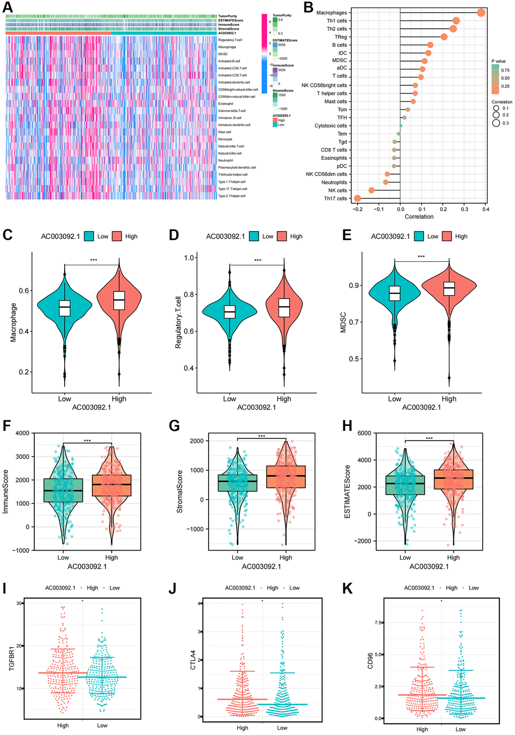 Immune characteristics of AC003092.1 in ccRCC. (A) Distribution of immune infiltrating cells and tumor microenvironment scores in high and low AC003092.1 expression groups; (B) Correlation between immunoinfiltrating cells and AC003092.1 expression profiles. (C–E) Differences in immunosuppressive cell expression between high and low AC003092.1 groups (C: Macrophage; D: Regulatory.T.cell; E: MDSC); (F–H) Differences in tumor microenvironment scores between high and low AC003092.1 groups (F: ImmuneScore; G: StromalScore; H: ESTIMATEScore); (I–K) Differences in immune suppression checkpoints between high and low AC003092.1 groups (I: TGFBR1; J: CTLA4; K: CD96).