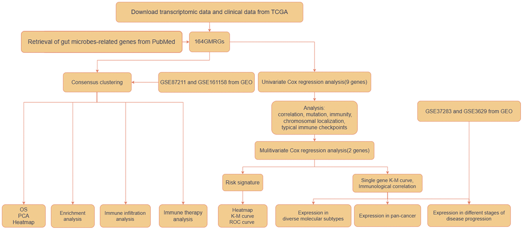 Workflow of the analytic process.