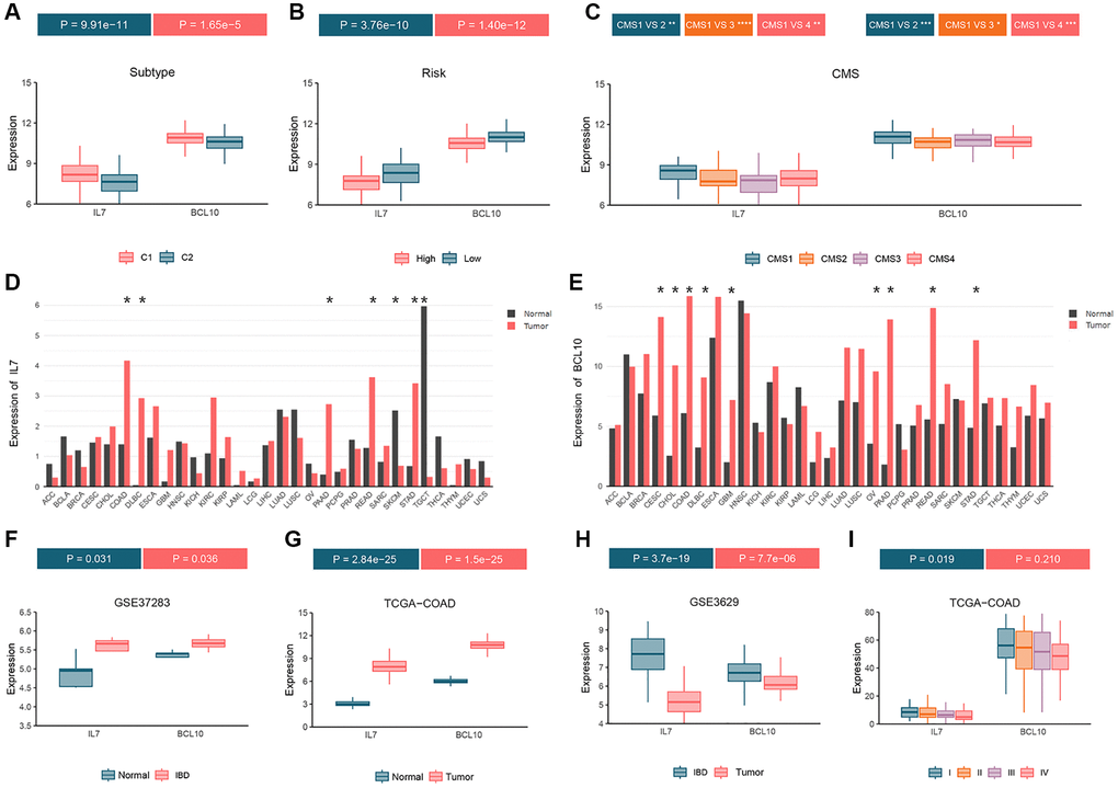 Analyze the expression status of GMRBs in different molecular subtypes, cancer types and disease stages. (A) GMRBs expression in molecular subtypes obtained by consensus clustering. (B) GMRBs expression in high-risk and low-risk groups. (C) GMRBs expression in CRC consensus molecular subtypes. (D, E) Expression of IL7 and BCL10 in various cancer types. (F) Differential expression of GMRBs between healthy individuals and patients with IBD. (G) Differential expression of GMRBs between healthy individuals and patients with CRC. (H) Differential expression of GMRBs between patients with IBD and patients with CRC. (I) Differential expression of GMRBs in CRC patients at different disease stages. Abbreviations: GMRBs: gut microbes-related biomarkers; CRC: colorectal cancer; IBD: inflammatory bowel disease.